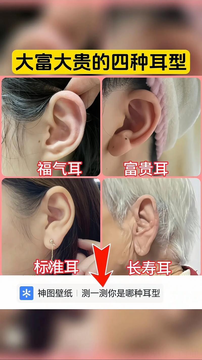 耳朵多高是富贵命,什么样的耳朵是富贵命?