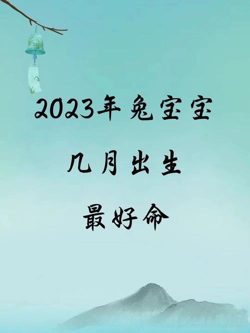 婚姻幸福吃穿无忧 2023年农历几月份的兔宝宝好