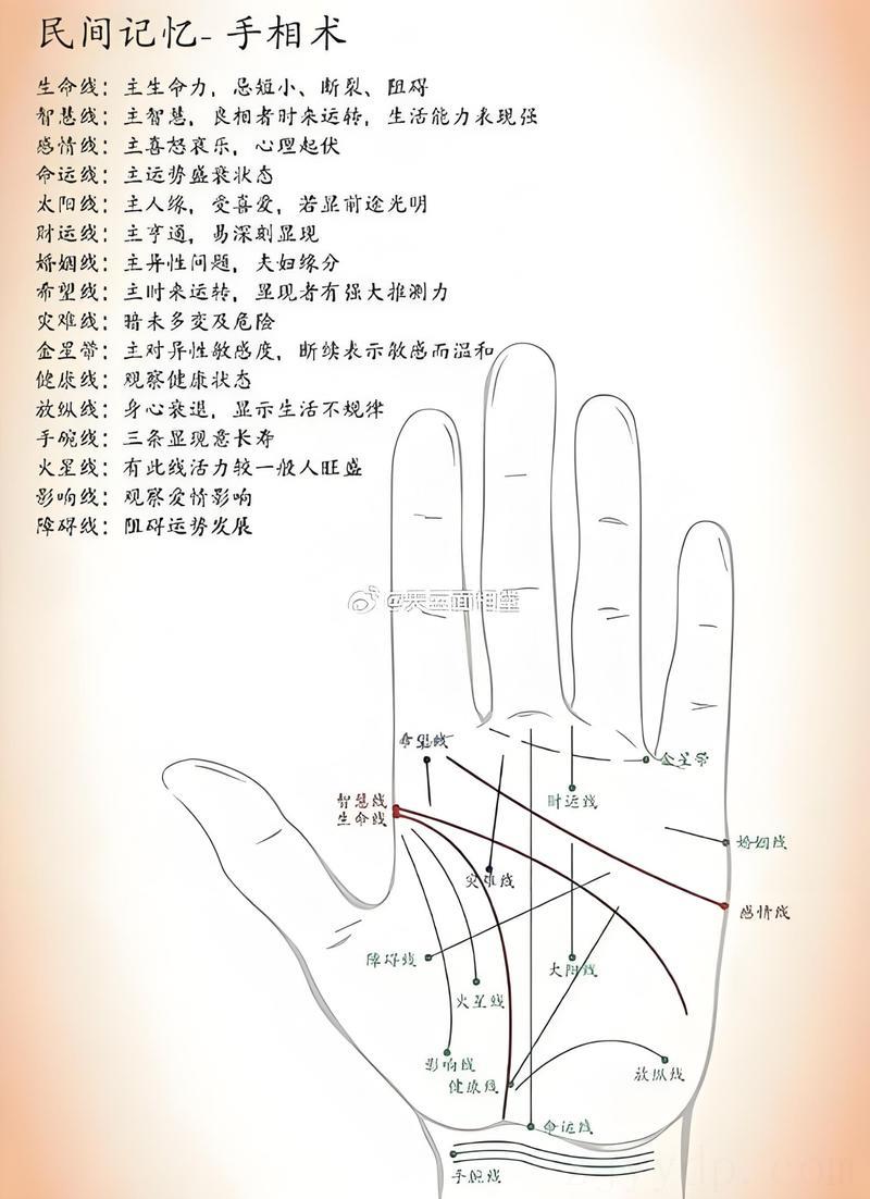 手看你有没有富贵命,手相看你的人生富贵吗