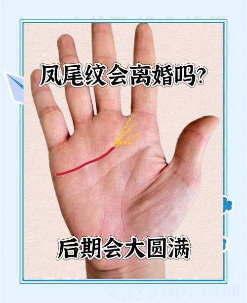 女人有富贵命的纹,什么手相的女人最好命