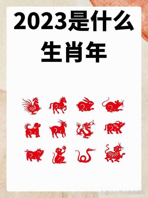 2023癸卯年为水兔之命 2023年春节出生的宝宝属什么