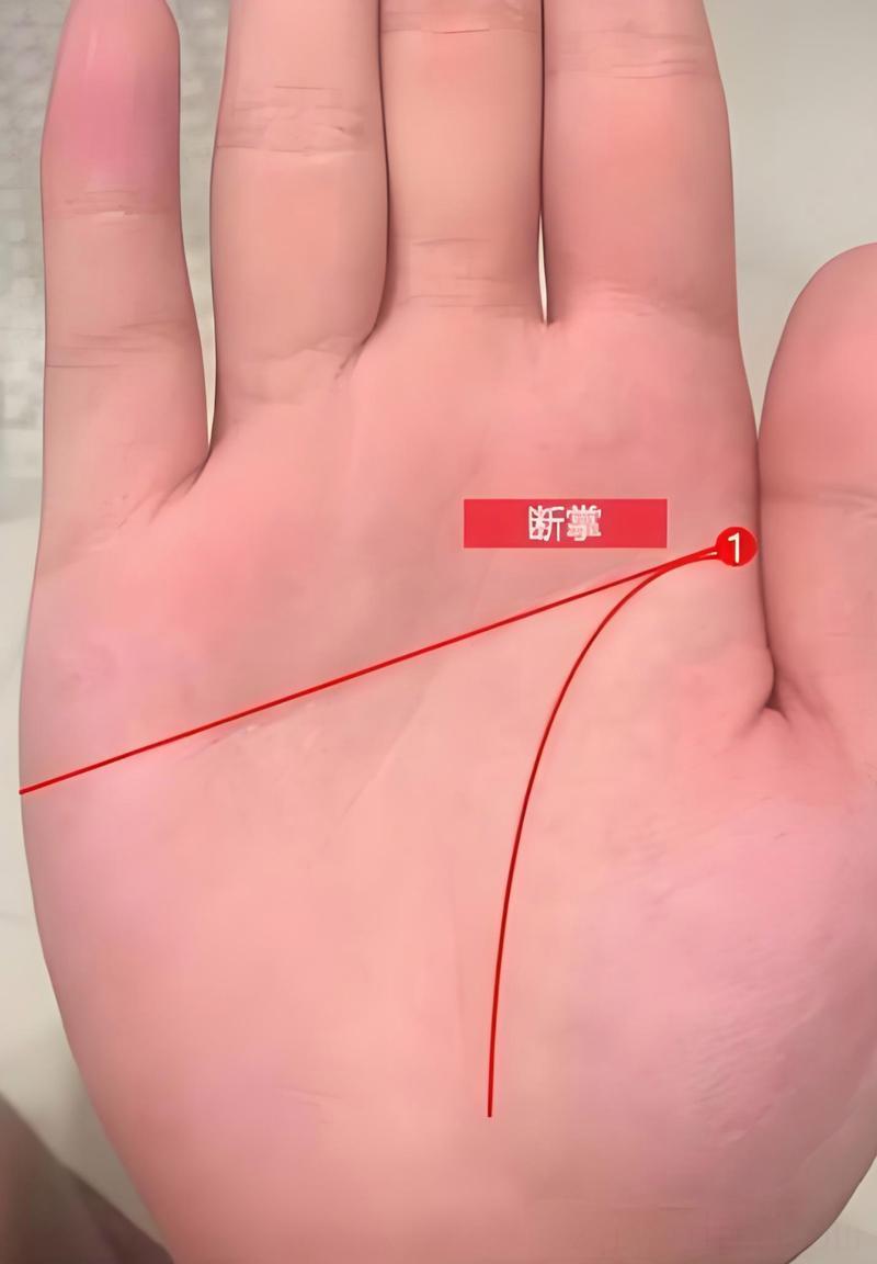 女人双手断掌有富贵命,女人双掌断掌有何不好?