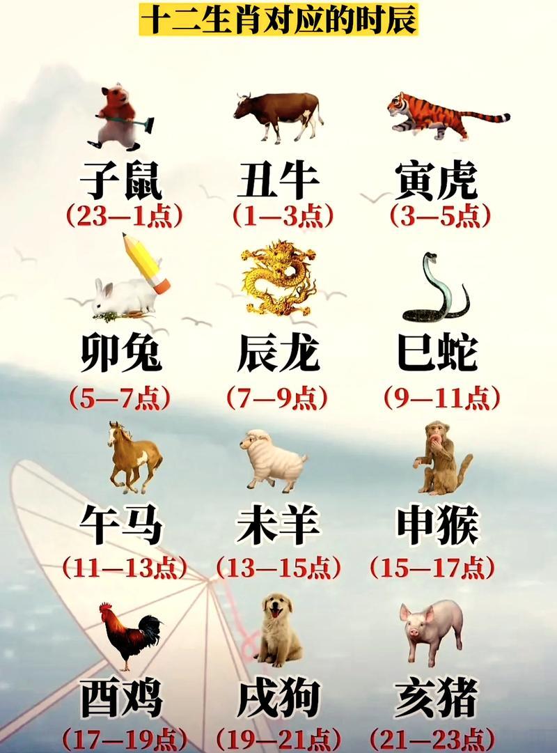 未未时出生的男孩富贵命,十二时辰哪几个生肖是富贵命