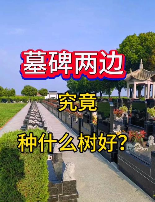 祖坟看后人富贵命,祖坟树对后人好不好?
