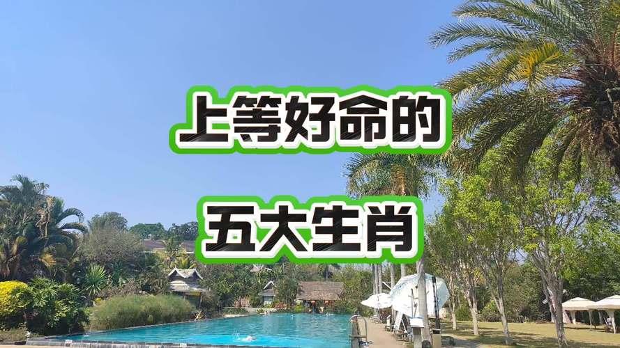 天生富贵命的4个生肖,什么生肖富贵命?