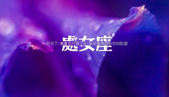 阳历8月26日是什么星座 星座是按阴历还是阳历