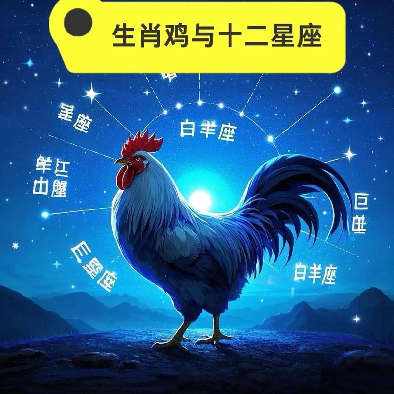 属鸡的女人有富贵命吗,十二生肖女哪个命最好?