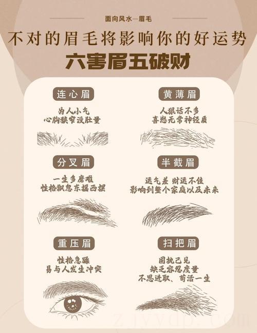 富贵命的三种眉毛,四大富贵眉分别指的是哪几种?