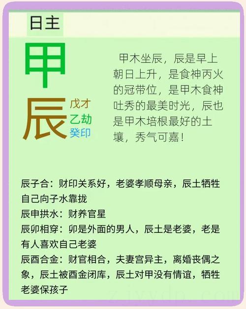 财气尚算旺盛 2023癸卯年甲子日柱运势好坏分析