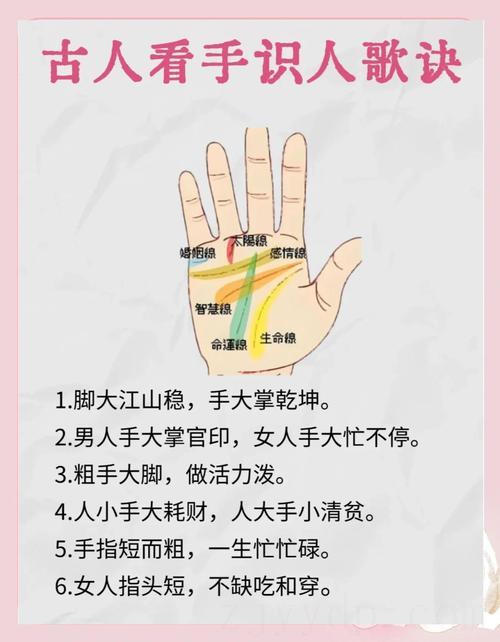 小手指头长短看富贵命,手相怎么看富贵命图解