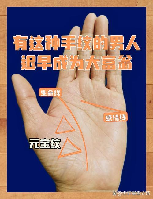 男人什么手相是富贵命,怎样手相的人是富贵命