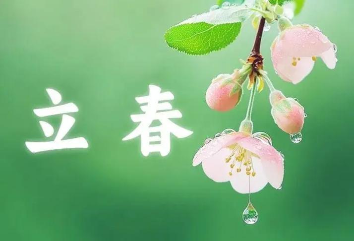立春出生的男孩财运很不错 2023年立春那天出生孩子