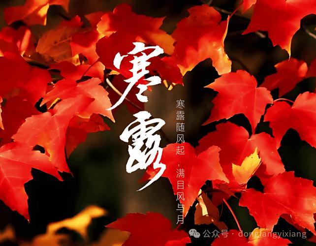 会得到贵人的指点 2022年寒露出生的宝宝命运
