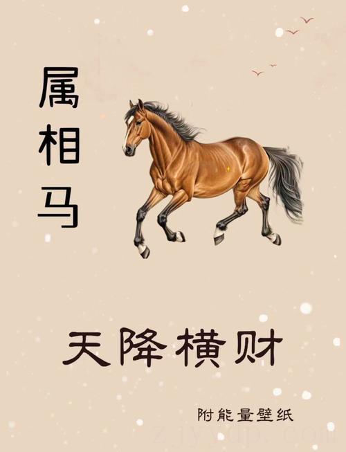 属马女富贵贵命的属相,属马的一生有没有大富大贵的命运