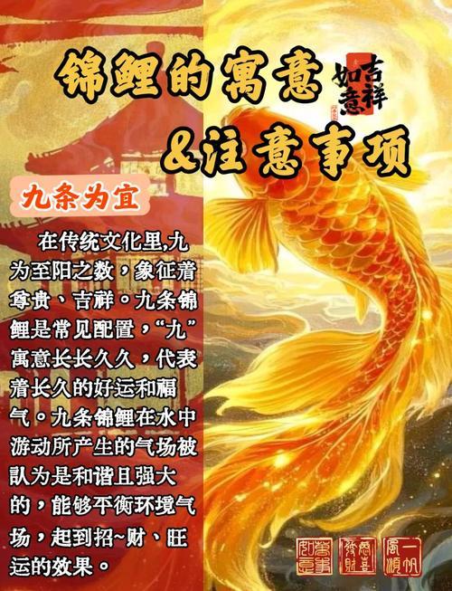 七零锦鲤富贵命微盘,宋守兰这名字有福嘛?