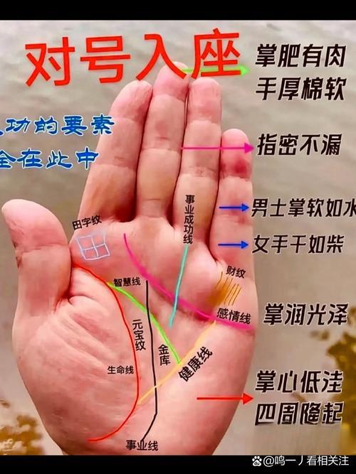 哪种手相注定有钱，宋守兰这名字有福嘛?