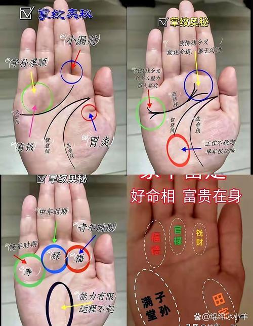 天生富贵命卡夜阁,掌纹干净的人是否命好