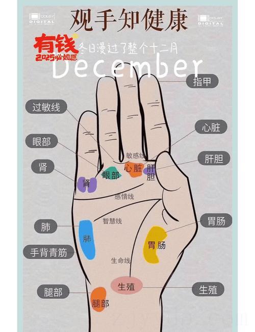 手心有三角线的富贵命,怎样手相的人是富贵命