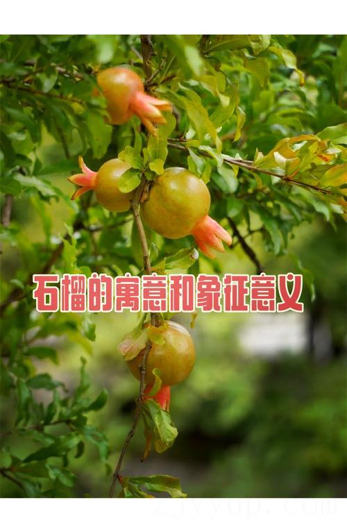 贵人多是大富大贵的命 石榴木命的财运