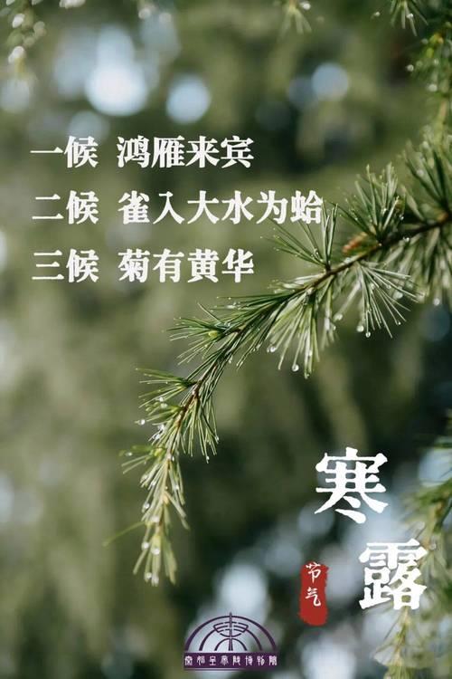 2022年寒露出生的宝宝是天胎吗 寒露出生的女孩好不好