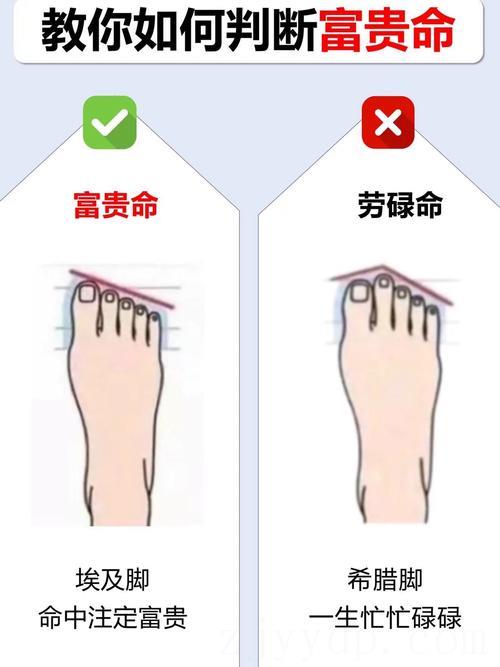 什么样的什么样的脚有富贵命,脚是什么样才是富贵命