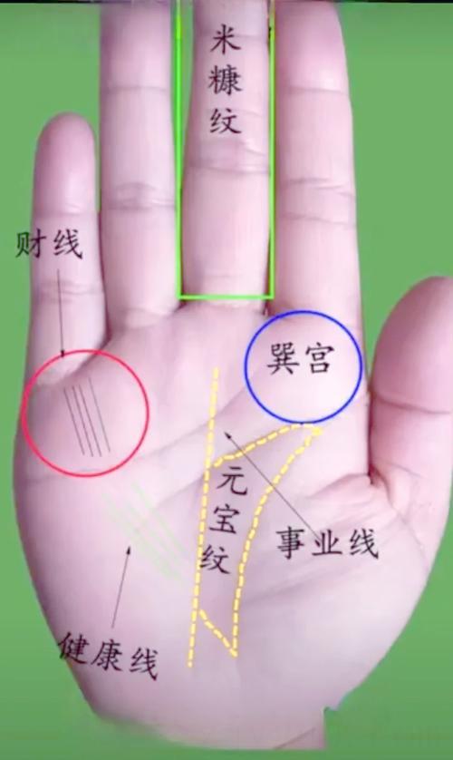 富贵高低看命的动作,手相怎么看富贵命图解