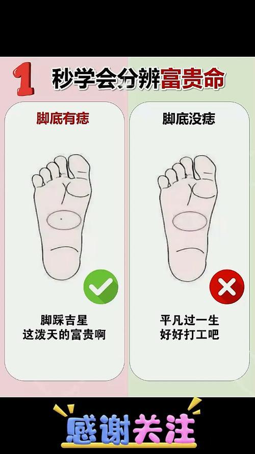 富贵命劳碌命脚指,全身的痣代表什么