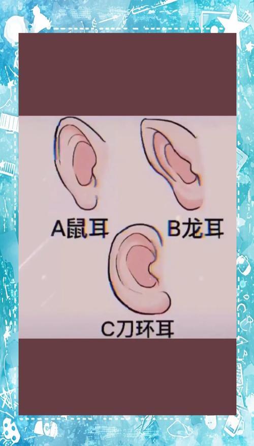 长什么样的耳朵才算富贵命,什么样的耳朵是富贵命?
