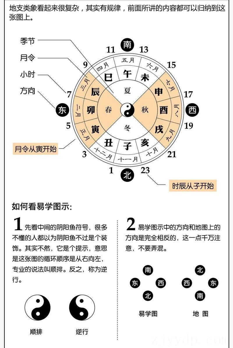 丙寅丁酉月富贵命,丙寅年丁酉月辛酉日戊子时这能看出来什么?