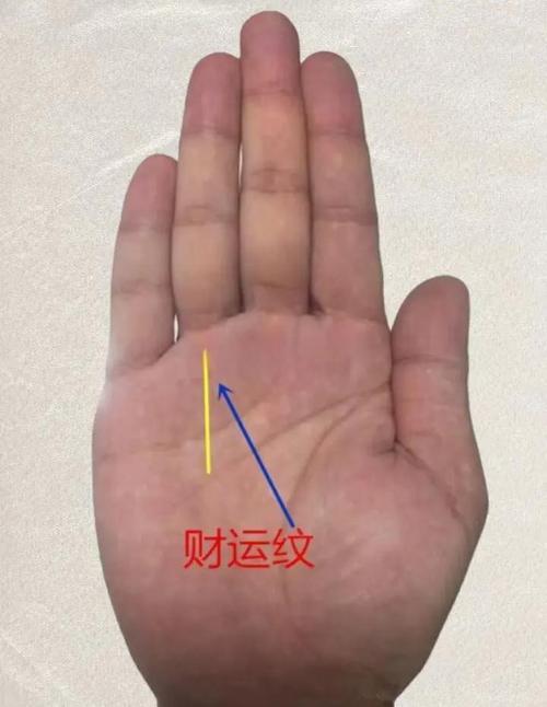 手掌加理纹看富贵命,手相上看哪些是财富纹