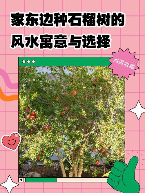中年能见成就 庚申年生石榴木命财运