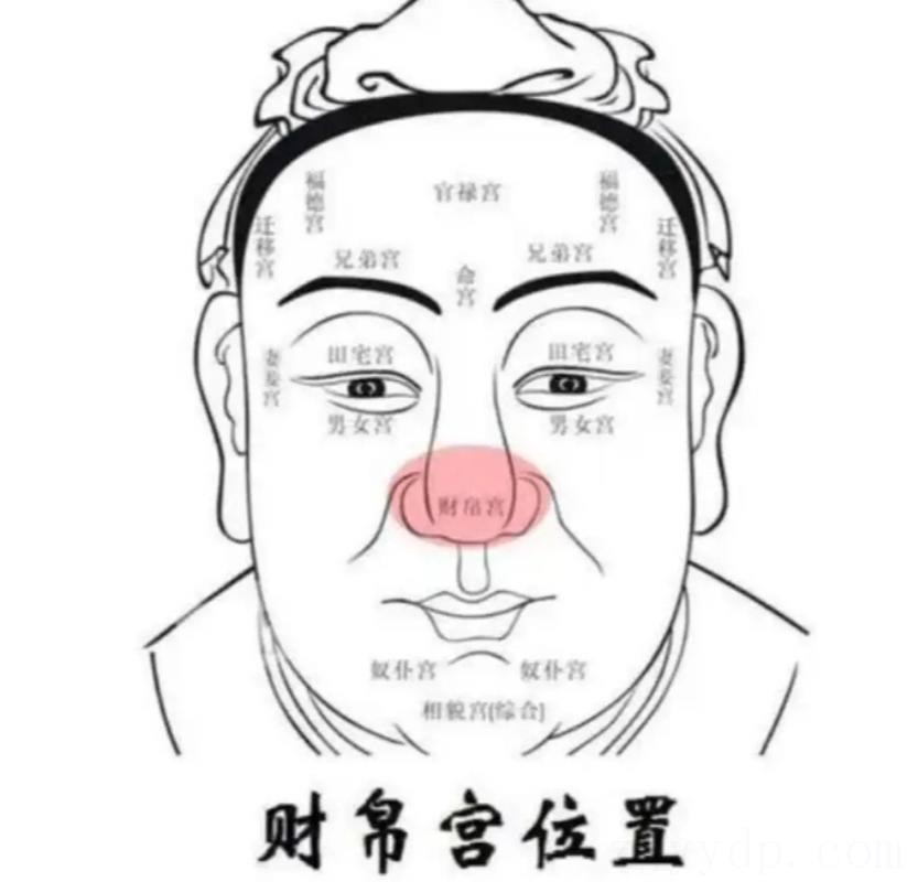 财帛宫看另一半家境