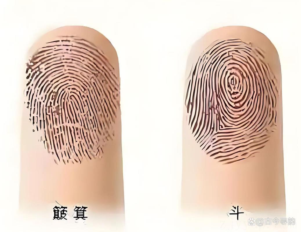 手上几个簸箕是富贵命,手上十个簸箕代表什么?
