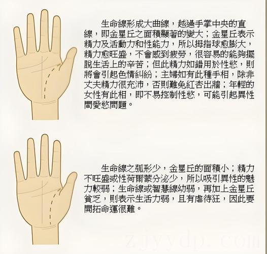井字纹手相是富贵命吗,富贵手相具有哪些显著特征?