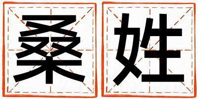 桑姓有智慧才气的男宝宝名字