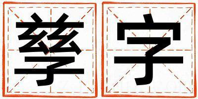 孳字取名的寓意是什么,孳字取名的含义是什么,孳字取名的意思解释