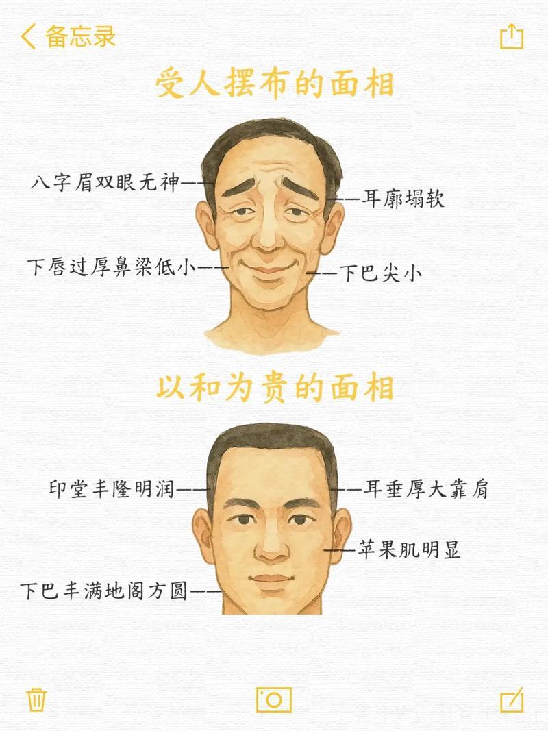 双目有神的人富贵命,面相学分析,什么样的面相带有富贵