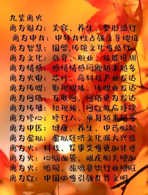 九紫火运哪个行业最好