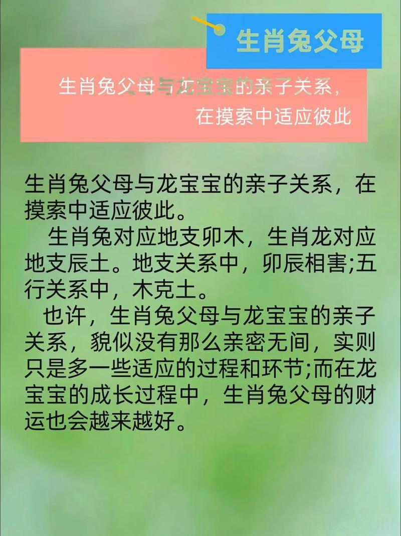 学会相互包容 爸爸属猴妈妈属虎孩子属狗好不好
