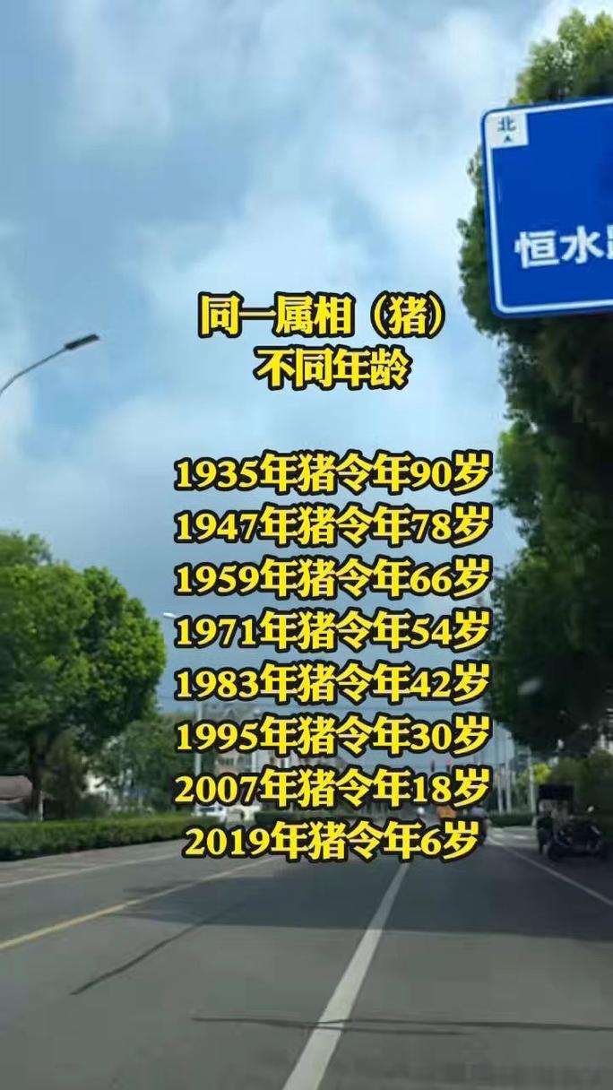 2022年属猪人事业迎巅峰 63岁属什么生肖什么命