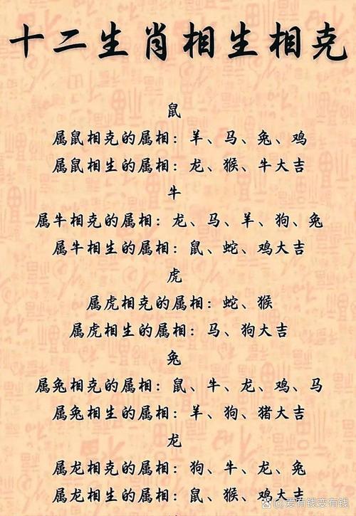 午马与卯兔相冲 兔爸虎妈能生马宝宝吗