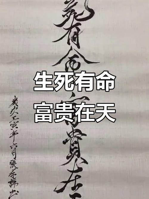 人生有命富贵在天注定的命,生死由命富贵在天是什么意思