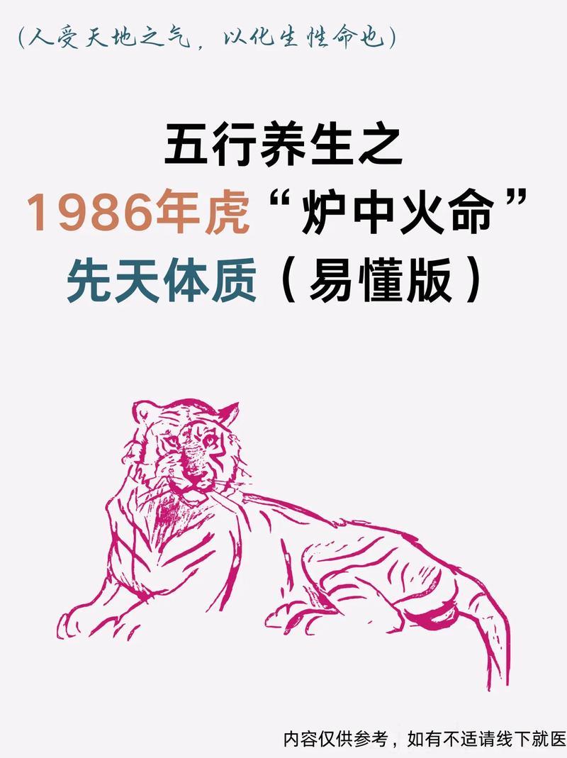 有商业头脑投资理财出色 1986炉中火命适合做什么行业