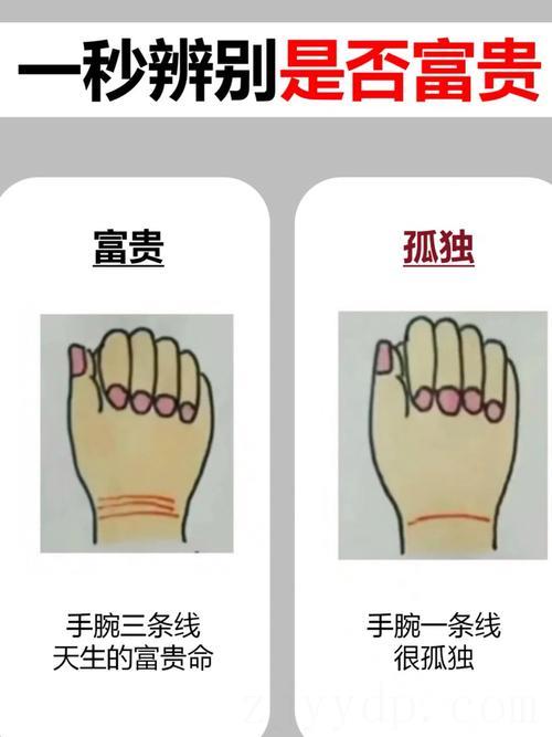 手腕线能看出富贵命吗,手腕线是否也属于掌纹的一部分?