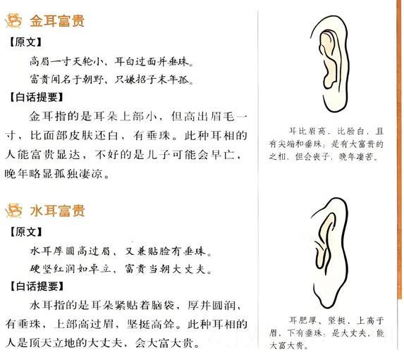 耳朵上长头发富贵命,易经风水学如何从耳朵上看人运势?