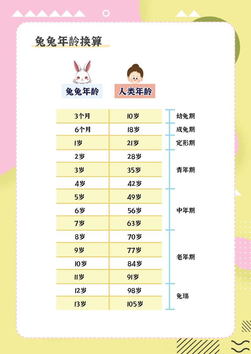 8岁兔什么时候出来一生富贵命,属兔的几月出生最好