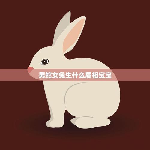 孩子性格成熟稳重 蛇爸爸虎妈妈生兔宝宝合不合
