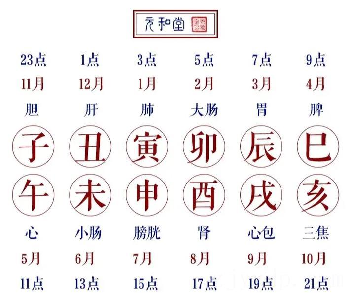 农历月份富贵命员,如何从受孕月份预知你人生祸福?