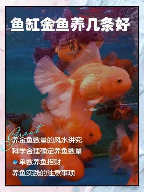 1973年6月27日早出生什么命五行属什么，合适养几条鱼