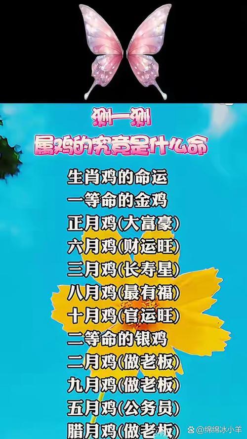 属鸡六亲无靠的命能富贵吗,属鸡人出生月的命运运势如何?